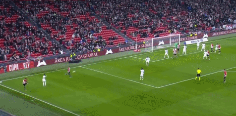 伦敦奥运马术冠军两匹传奇坐骑同日安乐死 伴随骑手共创20年辉煌岁月